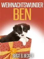 Weihnachtswunder Ben