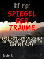 SPIEGEL DER TRÄUME: ZWEI NOVELLEN "Alles nur en Traum?" "Das Licht am Ende des Flurs"