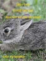 A small field hare