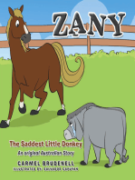 ZANY: The Saddest Little Donkey