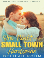 One Night With the Small Town Handyman