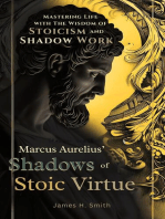 Marcus Aurelius' Shadows of Stoic Virtue
