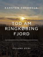 Tod am Ringkøbing Fjord: Jylland-Krimi