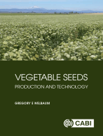 Vegetable Seeds