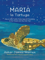 Maria la Tortuga