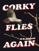 Corky Flies Again