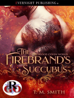 The Firebrand's Succubus