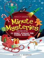 Hailey Haddie's Minute Mysteries Christmas Edition: 15 Short Stories For Young Sleuths: Hailey Haddie's Minute Mysteries, #3