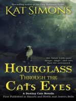 Hourglass Through the Cats Eyes: Destiny Cats, #2