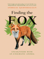 Finding the Fox: Encounters With an Enigmatic Animal