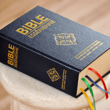 La Bible Essénienne Version Livre Audio