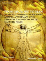 From Microbe to Man: Biological responses in microbes, animals and humans upon exposure to artificial static magnetic fields