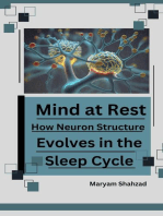 Mind at Rest: How Neuron Structure Evolves in the Sleep Cycle.