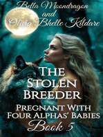 The Stolen Breeder: Pregnant With Four Alphas' Babies, #5