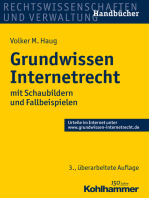 Grundwissen Internetrecht: mit Schaubildern und Fallbeispielen