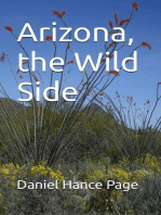 Arizona, the Wild Side