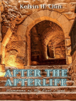 After the Afterlife: Memories of My Past Lives