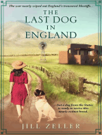 The Last Dog in England