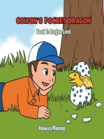 COLTONS POCKET PRAGON Book 1 Dragon Land