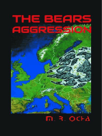 The Bears Aggression