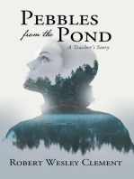Pebbles From The Pond: A Teacher's Story
