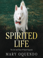 A Spirited Life: The Life and Times of Spirit Oquendo