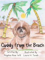 Cuddy from the Beach