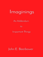 Imaginings: An Addendum to Important Things