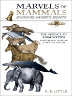 Marvels of Mammals