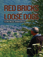 Red Bricks and Loose Dogs