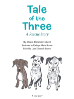 Tale of the Three: A Rescue Story