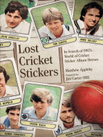 Lost Cricket Stickers