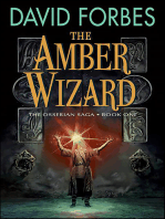 The Amber Wizard