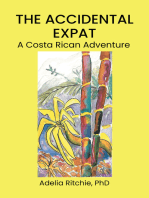 The Accidental Expat