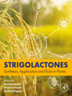 Strigolactones: Synthesis, Application and Role in Plants