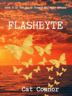 Flashbyte