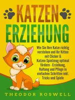 KATZENERZIEHUNG: Wie Sie Ihre Katze richtig verstehen und Ihr Kitten mit Clicker & Katzen-Spielzeug optimal fördern - Erziehung, Haltung und Pflege in einfachen Schritten inkl. Tricks und Spiele