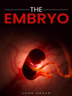 THE EMBRYO