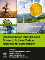 Decarbonization Strategies and Drivers to Achieve Carbon Neutrality for Sustainability