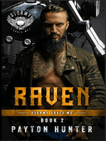 Raven: Stormy Souls MC, #2