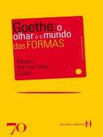 Goethe: O olhar e o mundo das formas