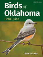 Birds of Oklahoma Field Guide