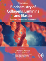 Biochemistry of Collagens, Laminins and Elastin