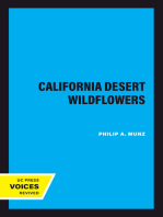 California Desert Wildflowers