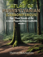 Atlas of Pennsylvanian (Carboniferous) Age Plant Fossils of Central Appalachian Coalfields Volume 2
