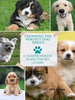 Choosing the Perfect Dog Breed