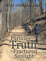 Particles Of Truth In Fractured Sunlight