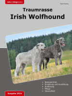 Traumrasse Irish Wolfhound