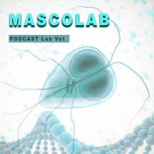 Mascolab