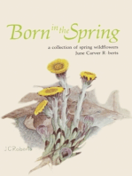 Born in the Spring: A Collection of Spring Wildflowers